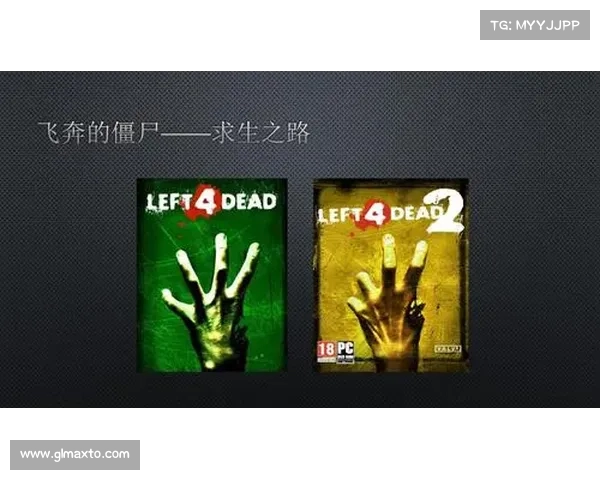避免安装求生之路时常见七大错误助你畅玩无忧的实用指南 避免安装求生之路时常见七大错误助你畅玩无忧的实用指南