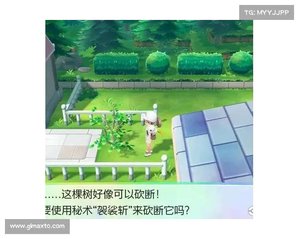 揭秘口袋妖怪黑白金破解秘技与游戏下载方法全攻略 揭秘口袋妖怪黑白金破解秘技与游戏下载方法全攻略
