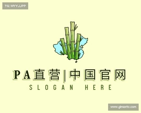 解读PA直营|中国官网